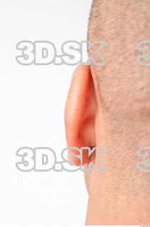 Ear texture of Dale 0001